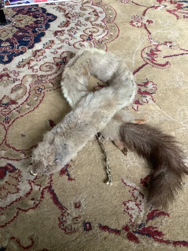 Vintage 1930 40s mink fur - 1930/40s,