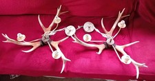 David Hunt Lighting  A Pair Of Faux Antler 3 Light Chandeliers