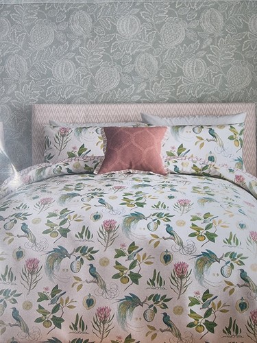 Sanderson paradesia king - sanderson,