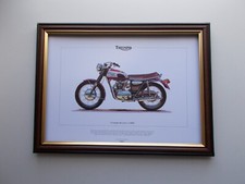 TRIUMPH DAYTONA T100R  MOTOR