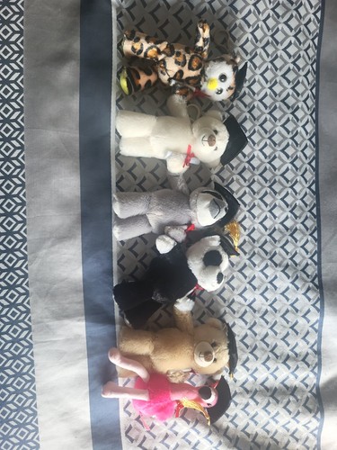 Graduation teddies joined - 6,