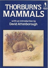 Thorburn mammals mermaid - mammals, (mermaid