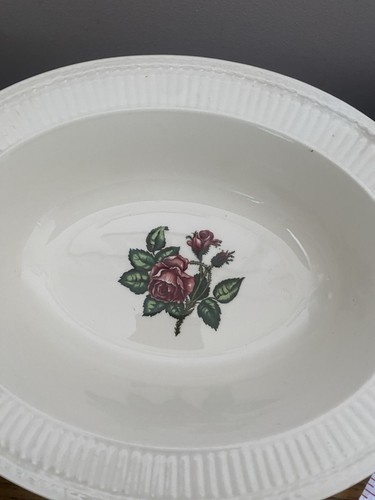 Wedgewood moss rose - wedgewood, rose’