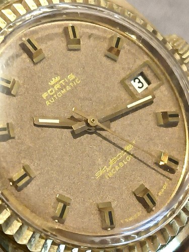 Fortis skyleader - fortis,