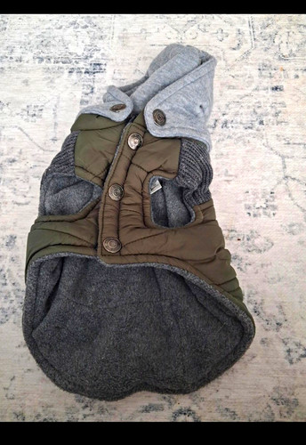 Hooded padded dog coat - padded, coat/jacket