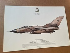Tornado GR.1 Operation Granby