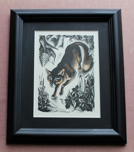 Fox framed lithograph from - 'fox',