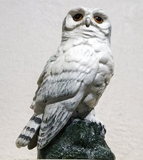 Royal Doulton for Whyte & Mackay Snowy Owl Vintage Porcelain Decanter 1984 Vgc