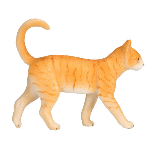 Mojo cat ginger tabby - cat,
