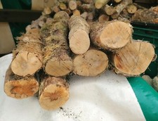Boxwood logs for - boxwood, woodturning