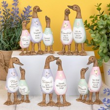 Shudehill giftware daisy - shudehill,
