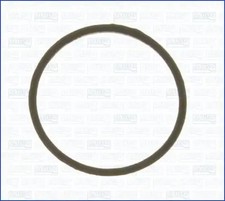 Thermostat O-ring seal
