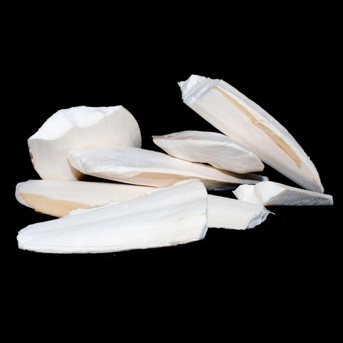 Premium cuttlefish pieces for - cuttlefish,