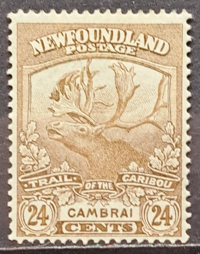 Newfoundland 1919 contingent - 1919,