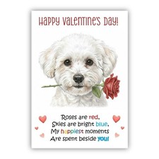 Multiple breeds valentine - multiple,