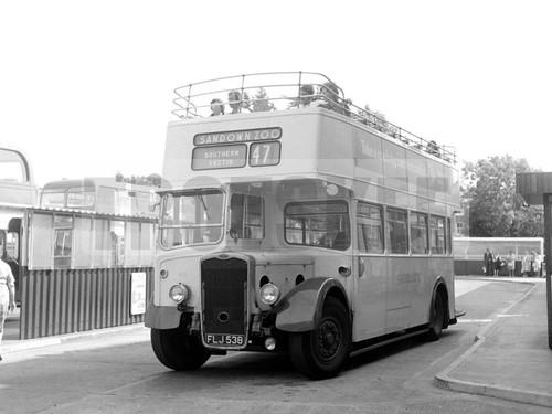 Large negative southern vectis - large,