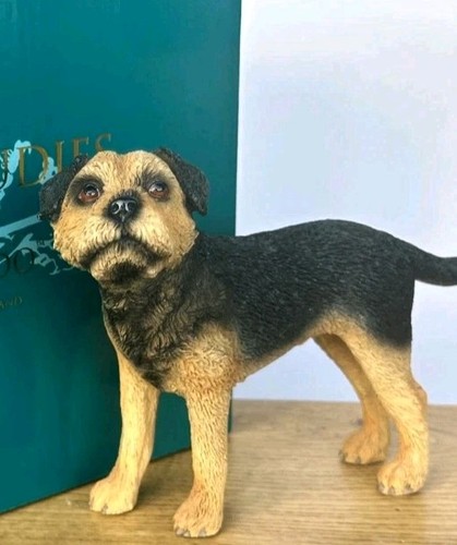 Leonardo border terrier - leonardo,