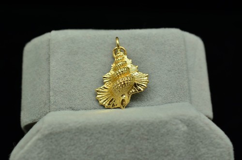 14k yellow gold hollow - gold, conch