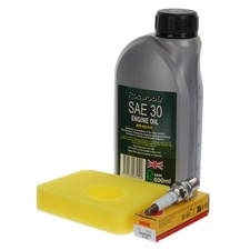 Service Kit  fits Briggs &