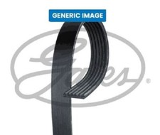 Gates 2PJ860 V-Ribbed Belt