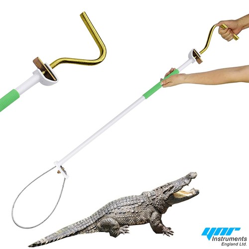 Alligator catch pole control - alligator,