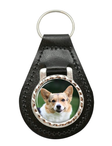 Cardigan welsh corgi - cardigan, leather