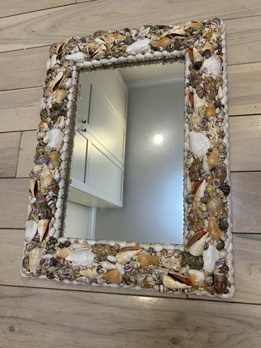 Seashell mirror 17 - seashell, x