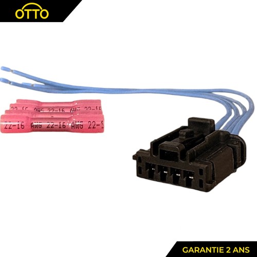 Rear tail light wiring - tail,