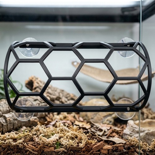 Terrarium climbing for - terrarium,