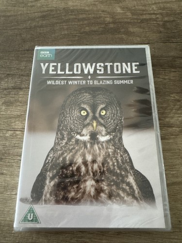 Yellowstone wildest winter - yellowstone,
