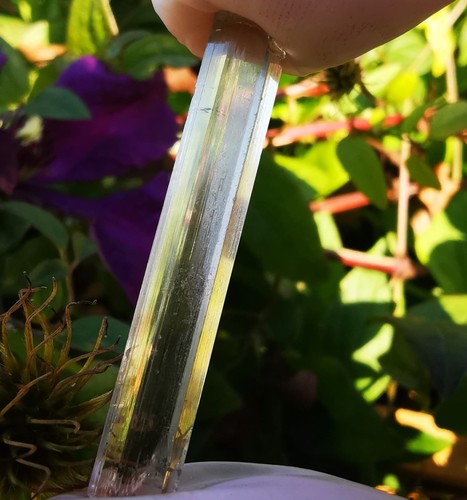 Watermelon tourmaline wand - tourmaline,