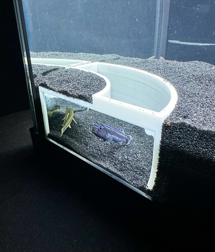 Aquarium underground cave - aquarium,