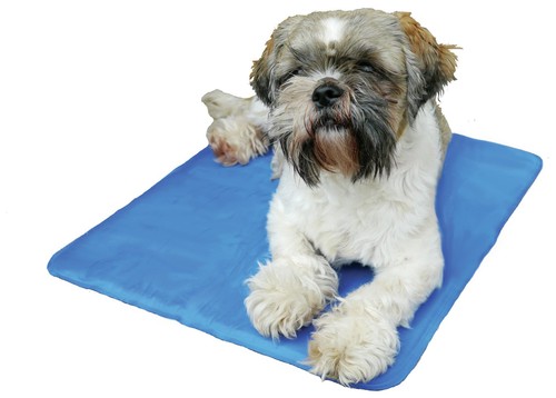 Pets cooling pad - chillax, cool
