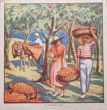 1950's Vintage Macmillan