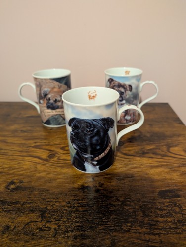 Staffordshire bull terrier 3 - terrier, x
