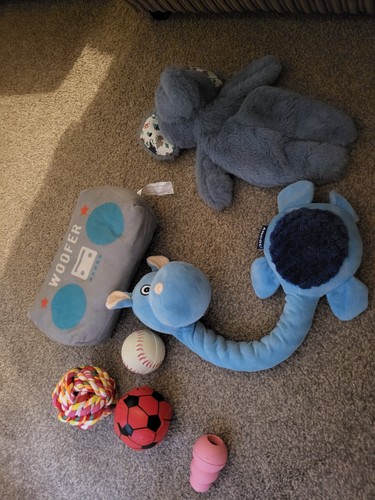 Dog toy bundle squeaky - toy,