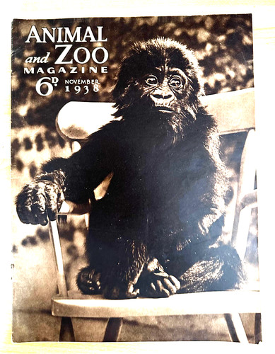 Animal zoo magazine 1938 - animal, &