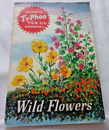 Typhoo tea ltd full set - -,