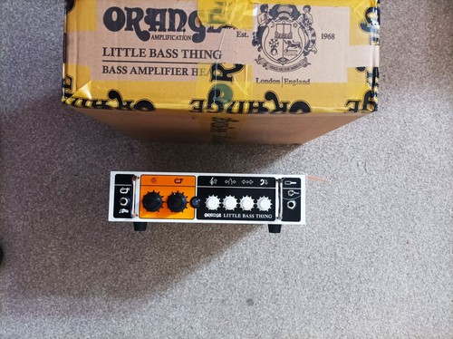 Orange little bass - little, thing