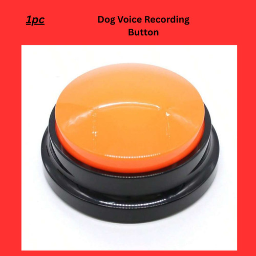 Dog voice recording - dog, button