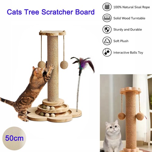 Tall cat scratching - tall, cats