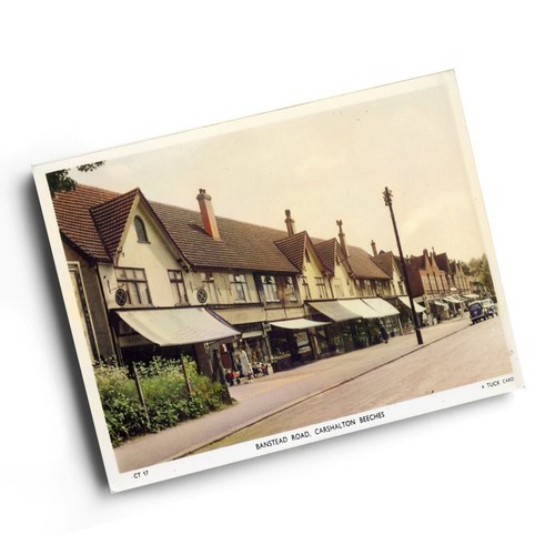 Print vintage surrey - -,