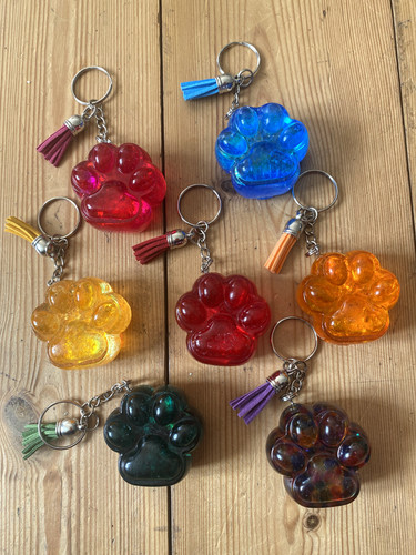 Paw print resin holographic - print,