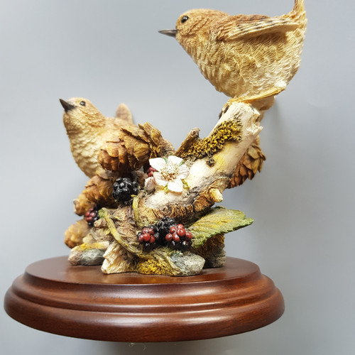 Country artists bird wrens - bird,