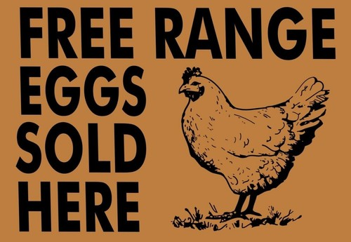 Free range eggs - free,