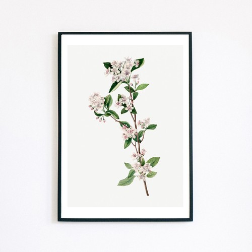 Botanical vintage flower - botanical,