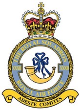RAF 32 SQUADRON BADGE ON METAL