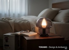 Ikea tokabo table lamp - table, purple