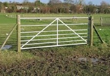 2kg HORSE PONY MUDDY GATEWAY REPAIR PADDOCK OVERSEED  PASTURES GRASS SEED  2 KG