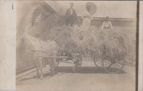 Rppc horse drawn - rppc, wagon